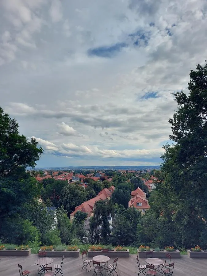 Bergwirtschaft Wilder Mann Hotel Und Restaurant Dresden